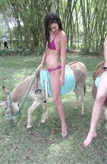 Kendall Jenner