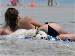 Olivia Wilde