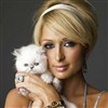 Paris Hilton