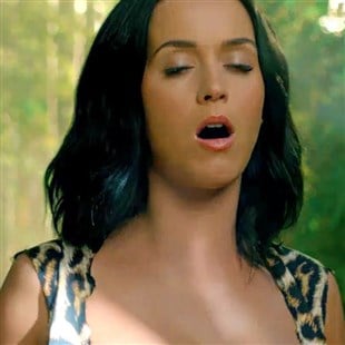 Katy Perry Side-By-Side Porn Comparison Video